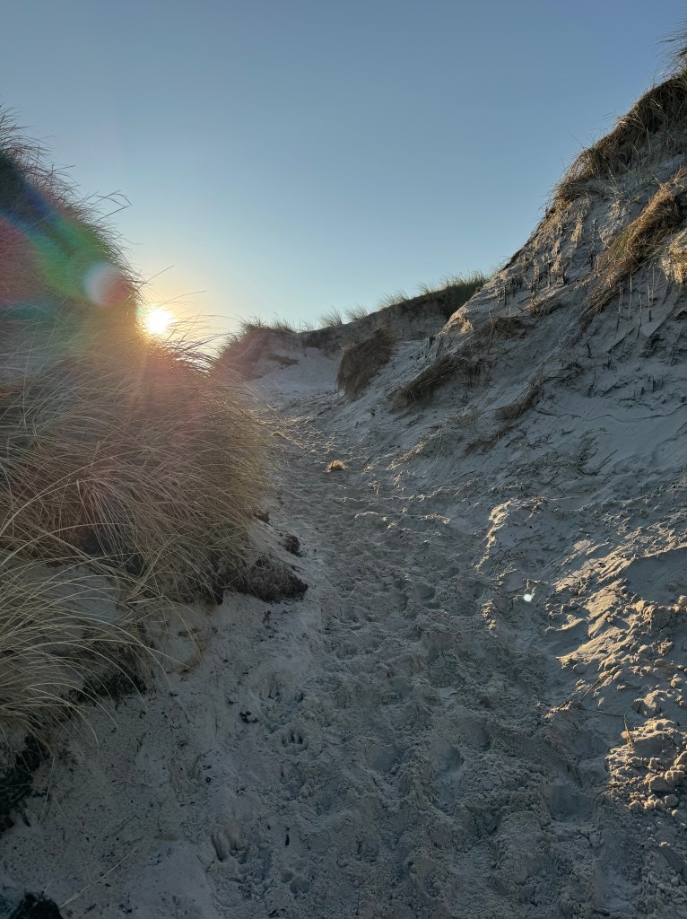 Übergang zum Strand Vejers