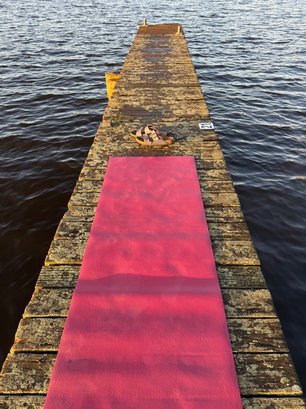 Yoga und Camping passt gut&nbsp;zusammen