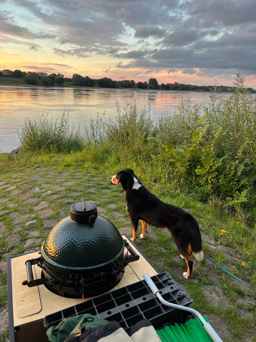 Natur erleben: Seen und mehr an der&nbsp;Elbe