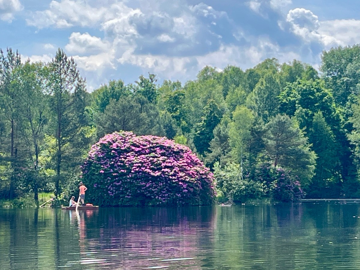 Ein Wochenende in der&nbsp;Südheide