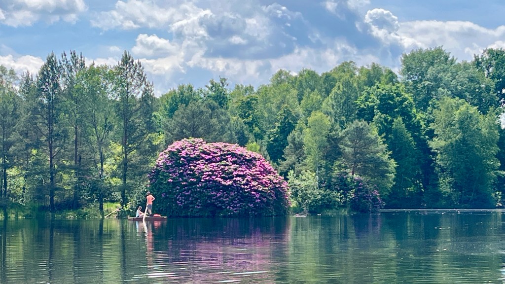 Ein Wochenende in der&nbsp;Südheide